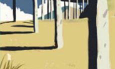 天蝎座什么时候不是人?