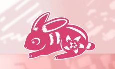 兔年出生的人与哪些属相适合合作