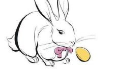 2023本命年学业运如何 转运方法