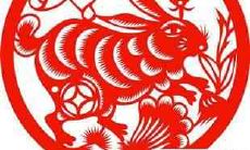 2020年属兔的人的感情运势如何?