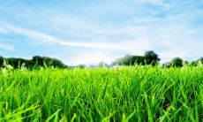 2024年九运大吉方位 南方运势非常旺盛