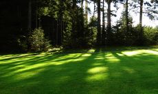 每日五行穿衣2022年12月11日 搭配好运色穿衣查询