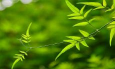 每日五行穿衣2022年12月14日 穿衣吉利颜色搭配