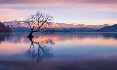 每日五行穿衣2022年12月16日 今日最佳颜色搭配查询