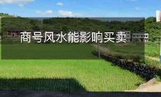 商号风水能影响买卖