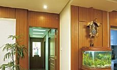 商号鱼缸摆在哪能力招财