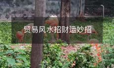 贸易风水招财运妙招