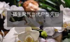 摄生聚气当代户型先容