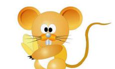 生肖鼠11月命运怎么样