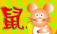 属鼠的女人命运怎么样 属鼠女人命运好不好