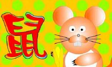 2021牛年老鼠感情、事业、财运分析