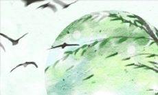 测一测3月你的桃花运如何?