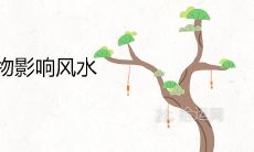 门前种爬山虎植物影响风水吗 有哪些禁忌讲究