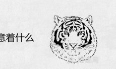 老虎坐中堂寓意着什么 为什么不守大门
