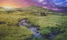 属鼠渣男的表现和典型特征 属鼠是不是渣男