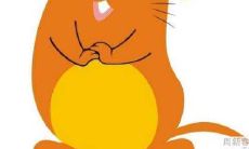 属鼠2022年1月运势及运程解析 2022年1月属鼠人的运势怎么样