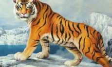 2022年生肖属虎事业运怎么样 2022属虎的人怎样催旺事业运程