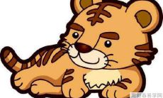 2022生肖属虎人财运怎么样 2022属虎的人怎么样提高财运