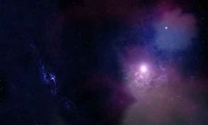 土虎是什么命 土虎的人运势如何