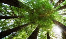 大年三十出生的女孩命苦 属于兴盛大旺的命格