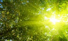 为什么男孩不能三十出生 大年三十男孩什么命