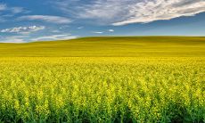 为什么男孩不能三十出生2023年 多变性格会影响自身发展