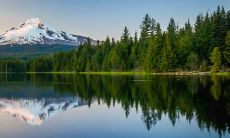 大年三十出生的人命硬 一生会幸福美满