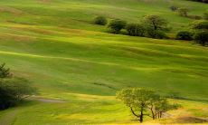 除夕生的女孩子是娘娘命2023年 有旺夫运势