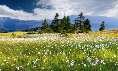 正月三十出生的人很特殊 这天出生人的命运