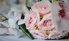 2023年5月份最佳领证吉日查询 哪几天适合结婚登记