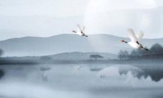 闰二月可以领证吗 2023年闰月登记结婚吉利吗