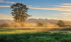 2023年能发财的八字 驿马星主横财运好