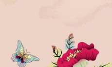 2023二月十四是黄道吉日吗 二月十四出门吉利吗