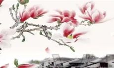 2023农历二月十七出行好不好 这一天是出门好时机吗