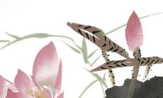 今年农历二月十六出门日子好不好 2023二月十六出行吉时