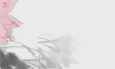 2023年二月十五出行好不好 今年二月十五适合出行吗