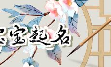 2023年出生兔宝宝起名 根据肖兔宜用字取名