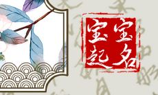 2023兔年男孩名字打分 使用褒义词的谐音字满分取名