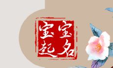 2022年12月15日出生的宝宝名字 适于冬月廿二富有诗意的取名