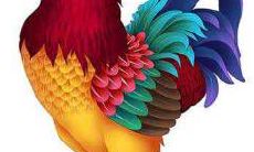 属鸡人的2022年事业运何时最好?事业运最佳的月份