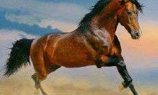 2021年属马人害太岁如何解决?