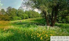 搬进新办公室会有怎样的风水禁忌?注意事项有哪些?