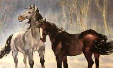 属马人适合戴什么翡翠最好 属马人适合的翡翠颜色