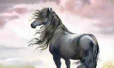 90年属马和93年属鸡婚配怎么样 合适吗