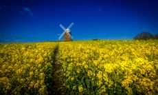 安高灵姓名评分80分