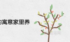 雅乐之舞的寓意家里养好不好