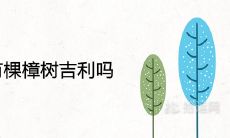 家门口有棵樟树吉利吗 在风水上有什么说法