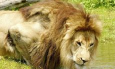 安立秋姓名评分76分