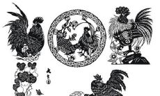 属鸡人运势不佳时能用什么方法来改善自己的运势