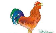 爸爸属鸡和孩子属猴好吗 孩子属什么好